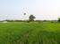 tn 5 Land in Sansai for sale