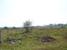 tn 3 Land close to Chiang Mai Doi Saket Rd