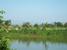 tn 1 Large Land with a Large Lake