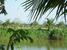 tn 4 Large Land with a Large Lake