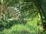 tn 5 Large Land with a Large Lake