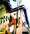 tn 1 The Dream Garden 