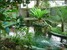 tn 3 Green Leaf Apartments