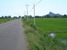 tn 4 Farm For Sale Near Tha Yang