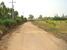 tn 1 Farm For Sale W of Cha-am