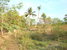 tn 1 Land For Sale:  12 Rai