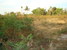 tn 3 Land For Sale:  12 Rai