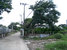 tn 2 Land for sale suitable to build house 