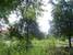 tn 2 Beautiful empty land for sale 