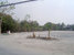 tn 3 Land for sale 3 rai. located in Ekamai 