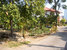 tn 1 Land for sale 3 - 2 - 32 rai 