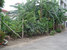 tn 2 Land for sale on Suthisarn 124 Sqw