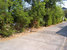 tn 2 Land for sale suitable to build house 