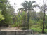 tn 3 Land for sale 3-3-21 rai. width 200 m. 