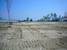 tn 1 Land for sale 60 Rai on Bangna-Tard 