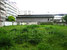 tn 1 Land for sale located on Sukhumvit road 