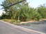 tn 1 Land for sale !!! locate in Ladprao 