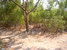 tn 2 Land for sale !!! locate in Ladprao 