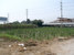 tn 2 Land for sale in Ayuthaya