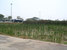 tn 3 Land for sale in Ayuthaya
