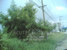 tn 1 Land for sale 4 Rai 236 sq.w. 