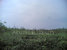 tn 2 Land for sale 4 Rai 236 sq.w. 