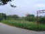 tn 4 Land Area: 1 Rai [1,600 Sq.m.]  