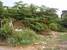 tn 1 land for sale 1 Rai 100 Sqw.