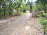 tn 1 309 Sqw. [1,236 Sq.m.]