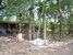 tn 2 309 Sqw. [1,236 Sq.m.]