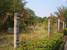 tn 2 Land Area: 1 Rai 234 Sqw. [2,536 Sq.m.
