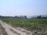 tn 1 Land Area: 2266 Rai 352 Sqw. 3,627,008 