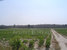 tn 2 Land Area: 2266 Rai 352 Sqw. 3,627,008 