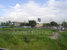 tn 1 Land for sale 13-2-82 rai  