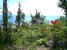 tn 2 Land Area: 5 Rai 333 Sqw. [9,332 Sq.m.
