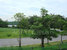 tn 2 Land for Sale!!in Prime Nature Villa  