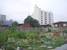 tn 1 Land Area: 1 Rai 47 Sqw. [1,788 Sq.m.] 