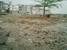 tn 1 Beautiful empty plot of land