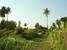 tn 1 Land Area: 29 Rai [46,400 Sq.m.] 