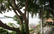 tn 5 A resort condo near the airport