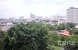 tn 3 Sukhumvit 44/1- Ficus Lane 