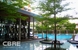 tn 3 Sukhumvit 44/1 - Ficus Lane