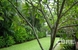tn 3 Midtown - Nichada Park  