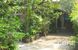 tn 2 Sukhumvit - Single House Sukhumvit 49