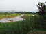tn 1 1.5 rai  riverfront on the Ping River