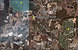 tn 6 Mabprachan Country Club Estates for Sale