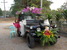 tn 1 Jeep