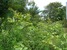 tn 5 800 Sq. M. Land - Just 100 M. to Beach