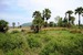 tn 1 1.5 Rai Land Plots 30 Min. S. of Hua Hin