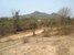 tn 5 Three Mountain View Land Plots 